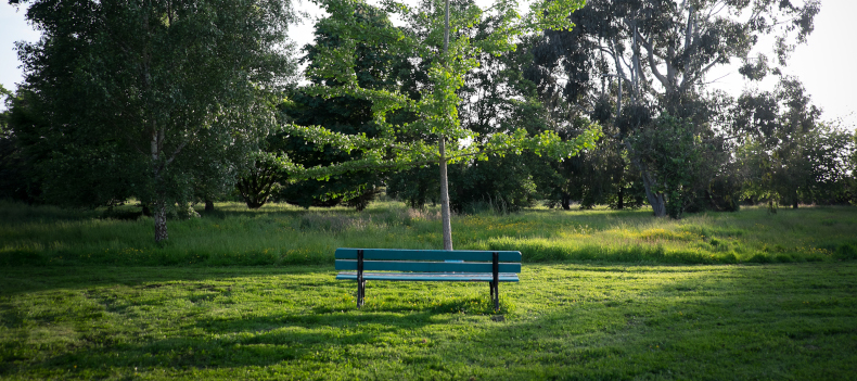 Arboretum du campus de Rennes de l'Institut Agro 