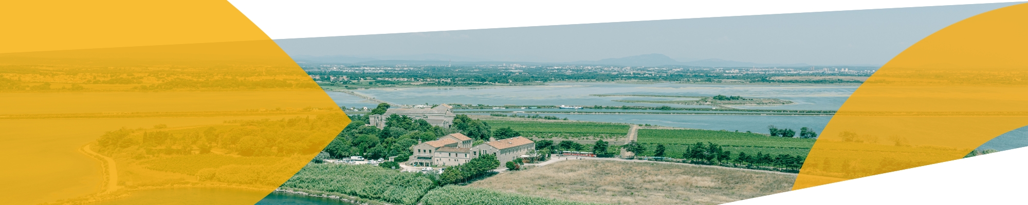Vignes