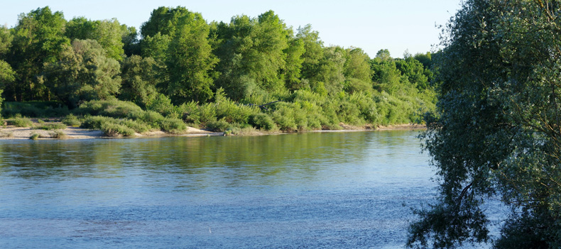 Bord de Loire